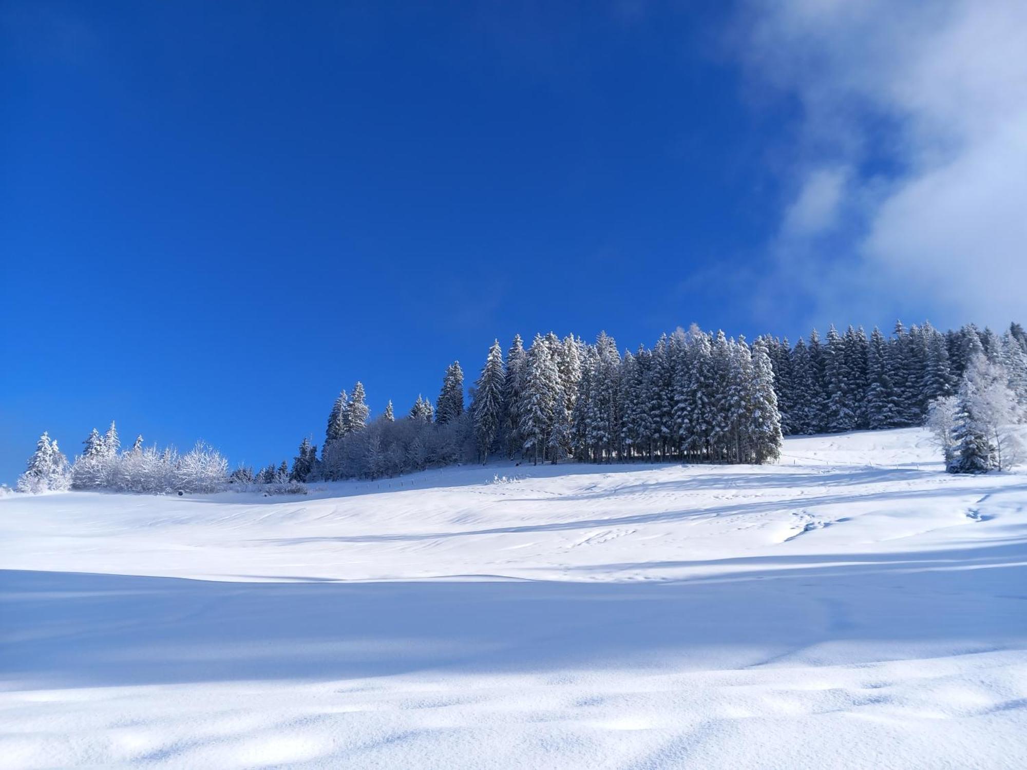 Joli Studio A St Gervais Les Bains سا جيرفي لي با المظهر الخارجي الصورة