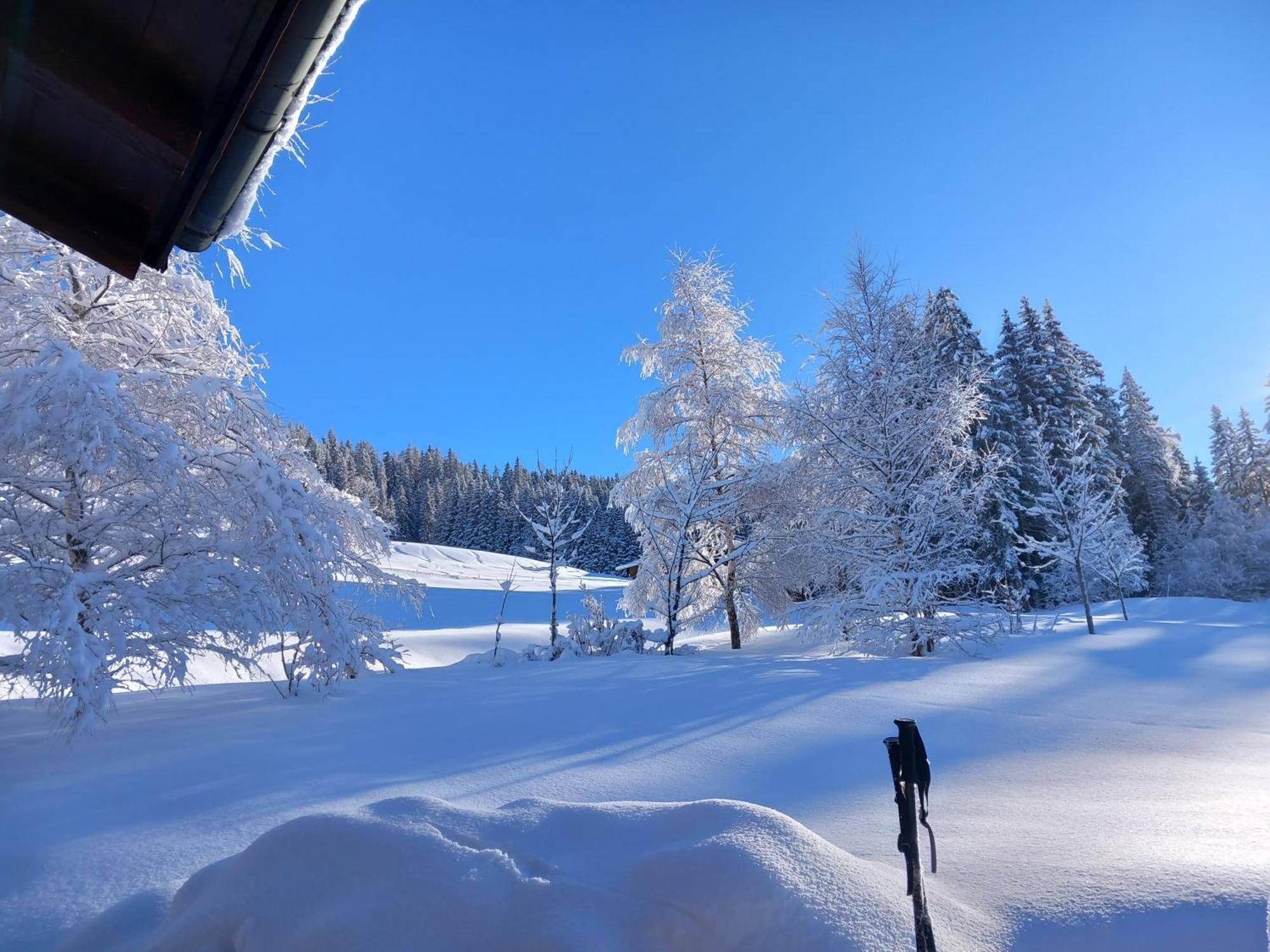 Joli Studio A St Gervais Les Bains سا جيرفي لي با المظهر الخارجي الصورة